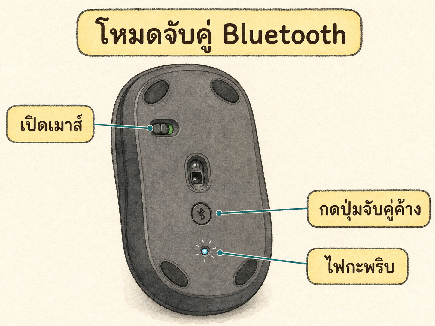 ภาพเมาส์ไร้สาย Bluetooth แสดงสวิตช์เปิด ปุ่มจับคู่ และไฟกะพริบ